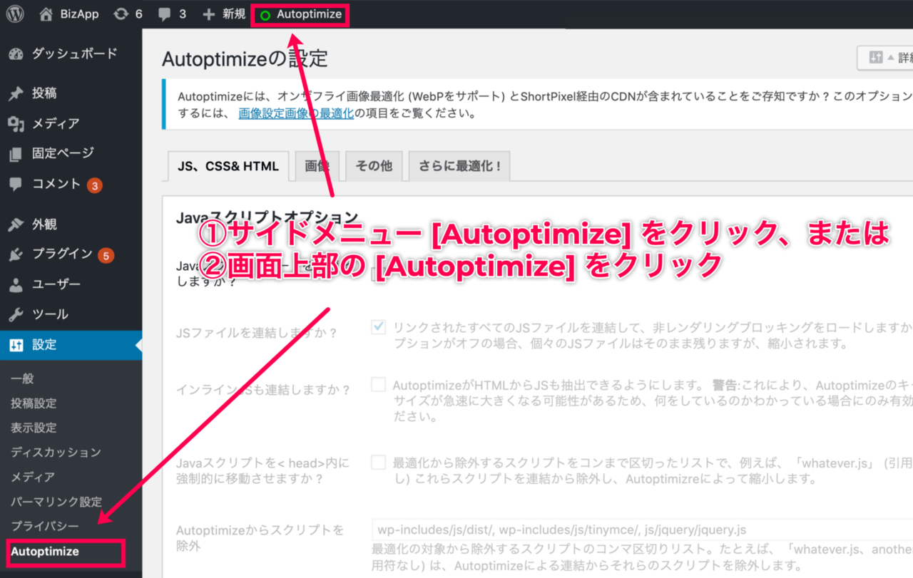 Autoptimize_1設定
