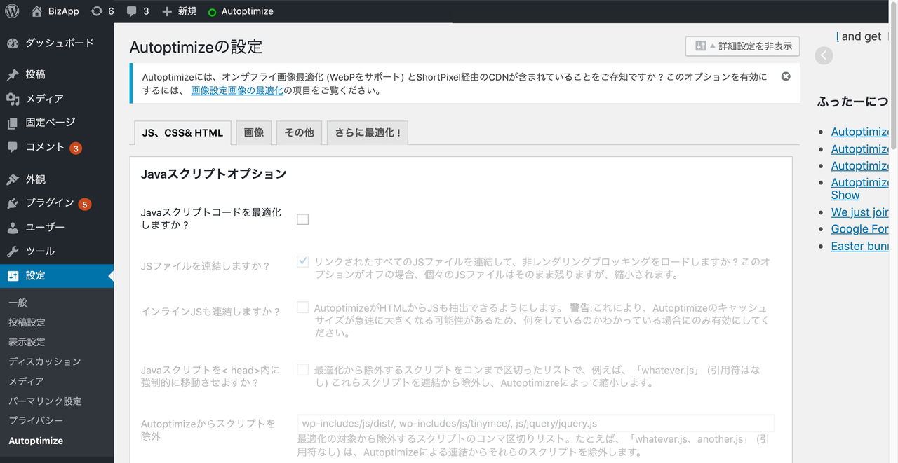 Autoptimize_2設定画面