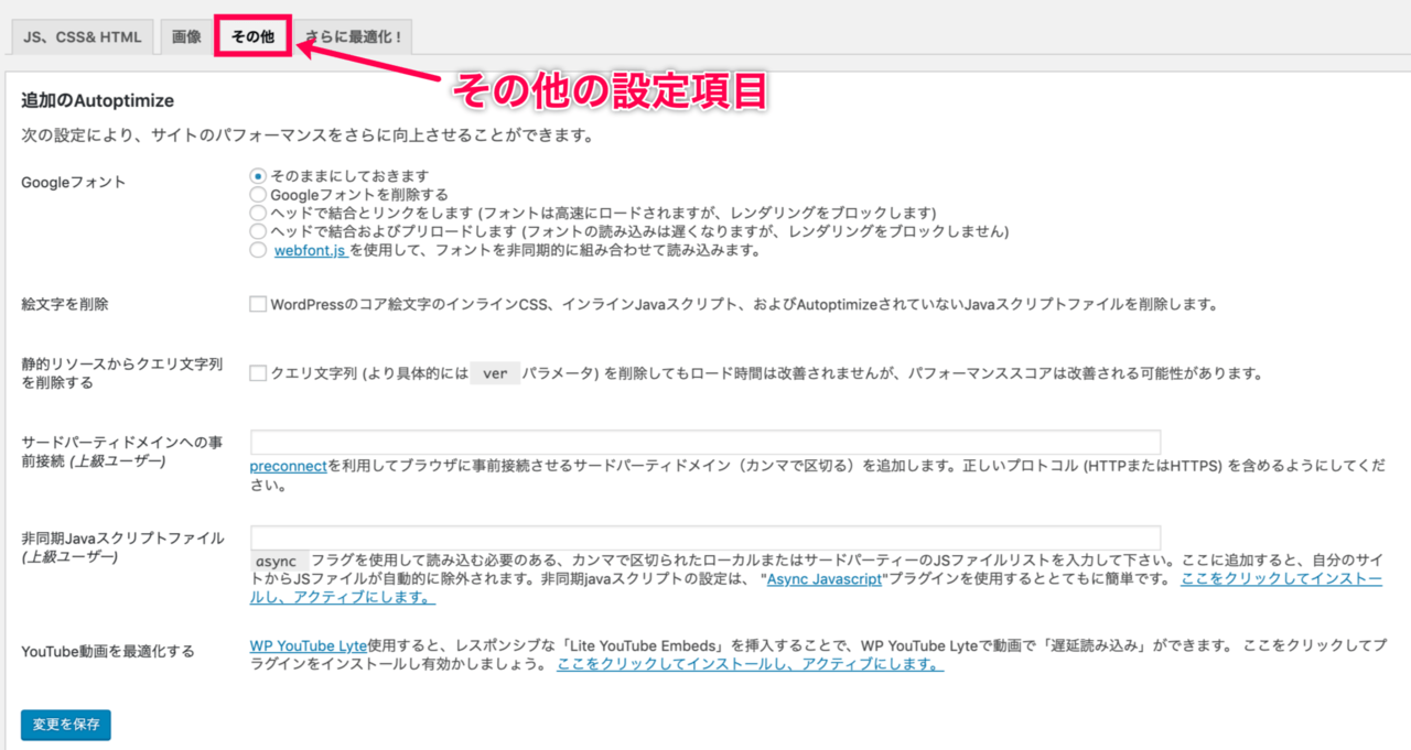 Autoptimize_7その他