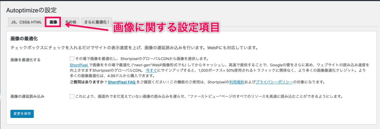 Autoptimize_8画像